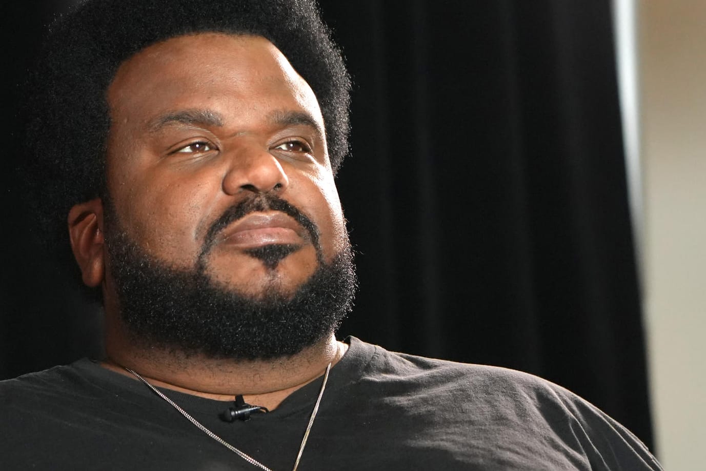 Craig Robinson: Der Schauspieler musste seine Show abbrechen.