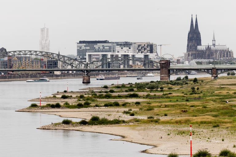 Niedrigwasser in Köln: Der Klimawandel trocknet den Rhein zunehmend aus.
