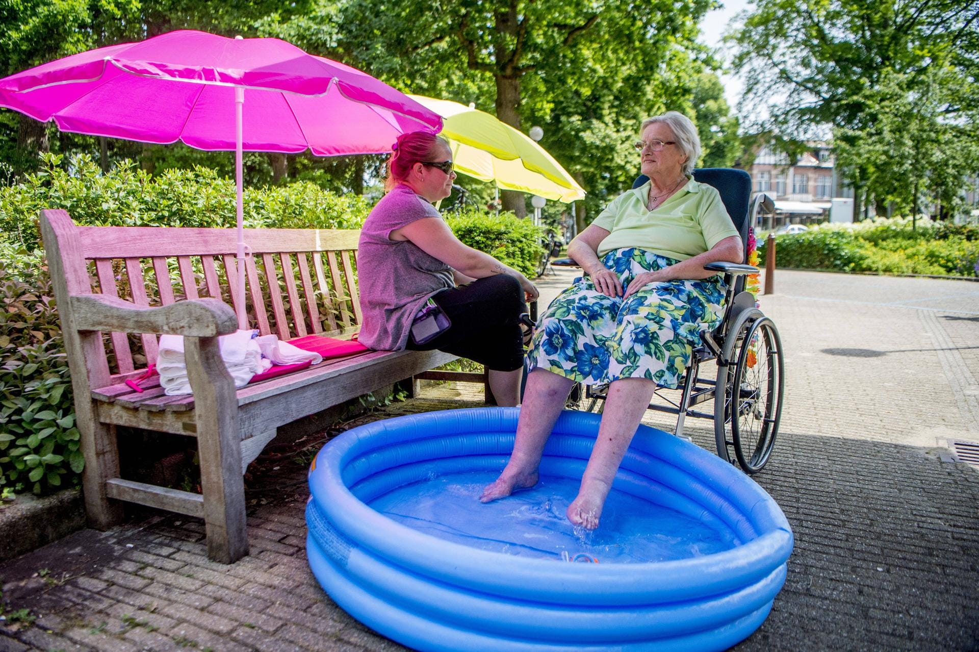 Hitzesommer: Die extremen Temperaturen können lebensgefährlich sein.