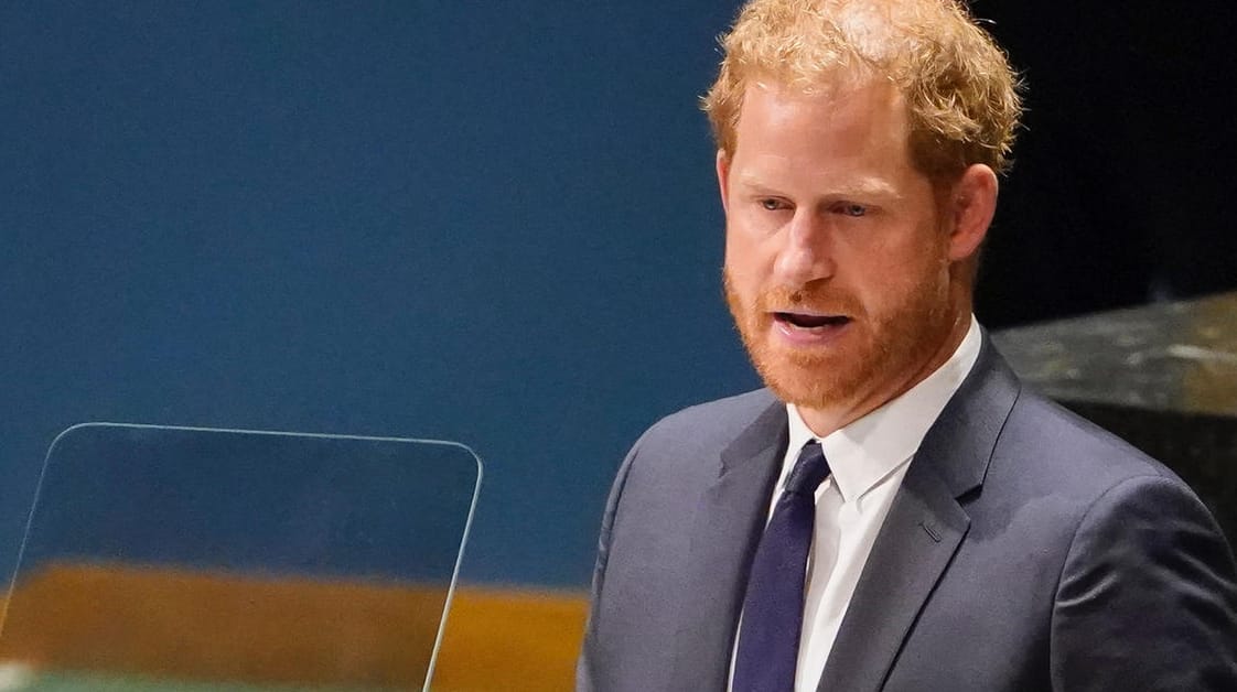 Prinz Harry: Der britische Royal hat vor der Generalversammlung der Vereinten Nationen in New York gesprochen. Prinz Harry: Der britische Royal hat vor der Generalversammlung der Vereinten Nationen in New York gesprochen.