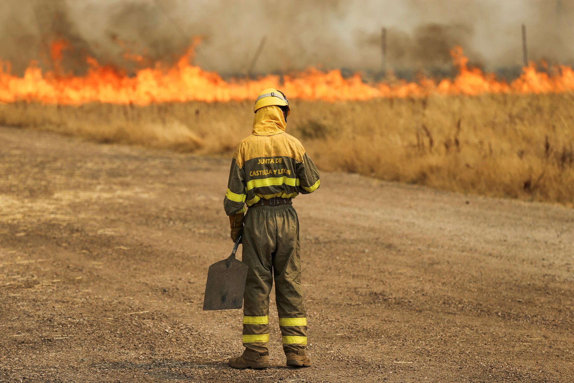 Zamora, Spanien: Feuerwehrleute kämpfen gegen ein Feuer in einem Weizenfeld. Die Nordwesten Spaniens erlebt bereits die zweite Hitzewelle in diesem Jahr.