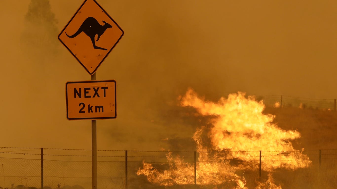 Auch aufgrund von schweren Bränden in den vergangenen Jahren hat sich die Situation für Tiere und Klima in Australien offenbar verschlechtert. (Symbolfoto)