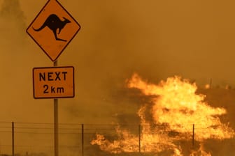 Auch aufgrund von schweren Bränden in den vergangenen Jahren hat sich die Situation für Tiere und Klima in Australien offenbar verschlechtert. (Symbolfoto)