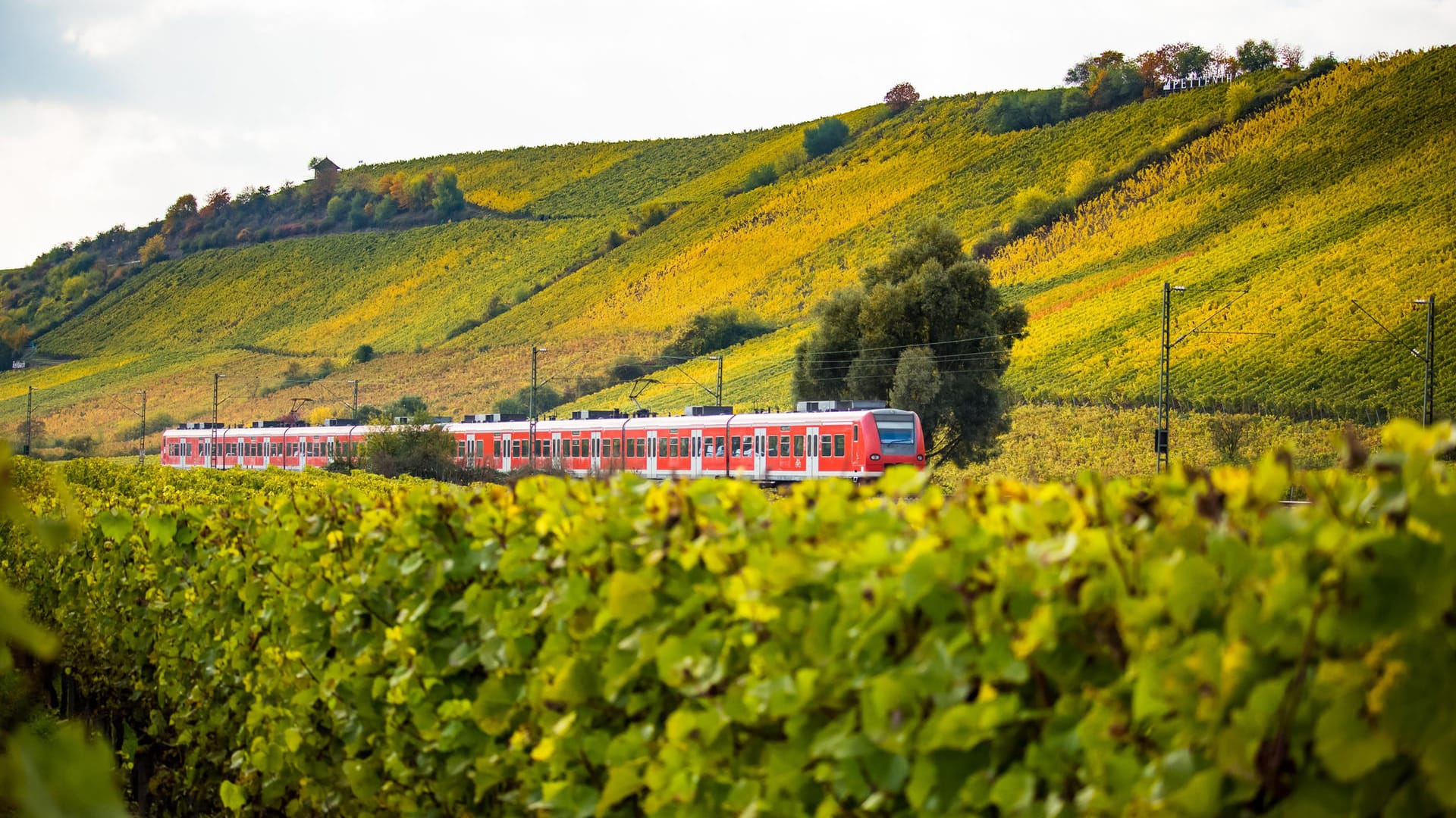 Hitzewelle: Aufgrund der Temperaturen gibt es bei der Deutschen Bahn Kulanzregelungen für die Fahrten am 18. und 19. Juli.