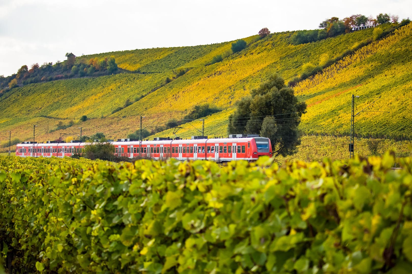 Hitzewelle: Aufgrund der Temperaturen gibt es bei der Deutschen Bahn Kulanzregelungen für die Fahrten am 18. und 19. Juli.