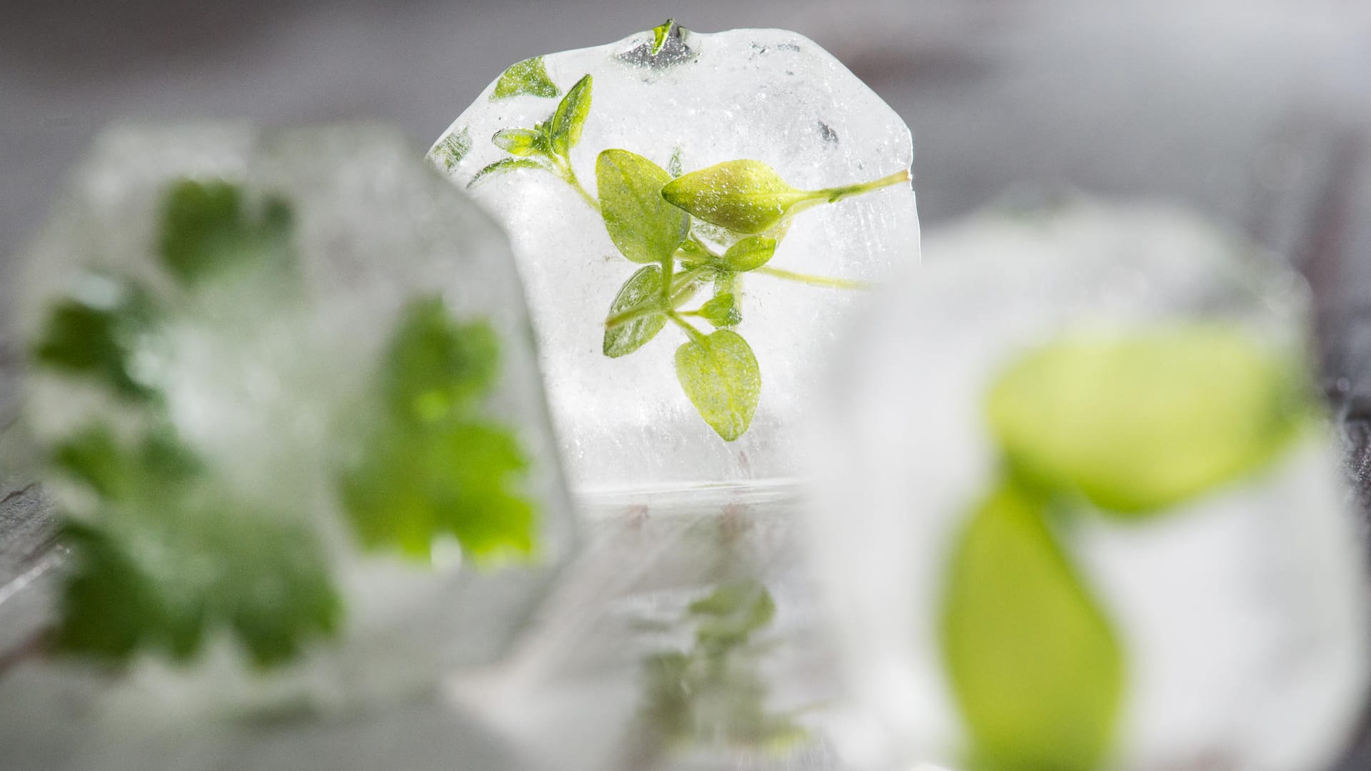 Tricks für mehr Geschmack: Auch in Eiswürfel gefrorener Thymian peppt Wasser aromatisch auf.