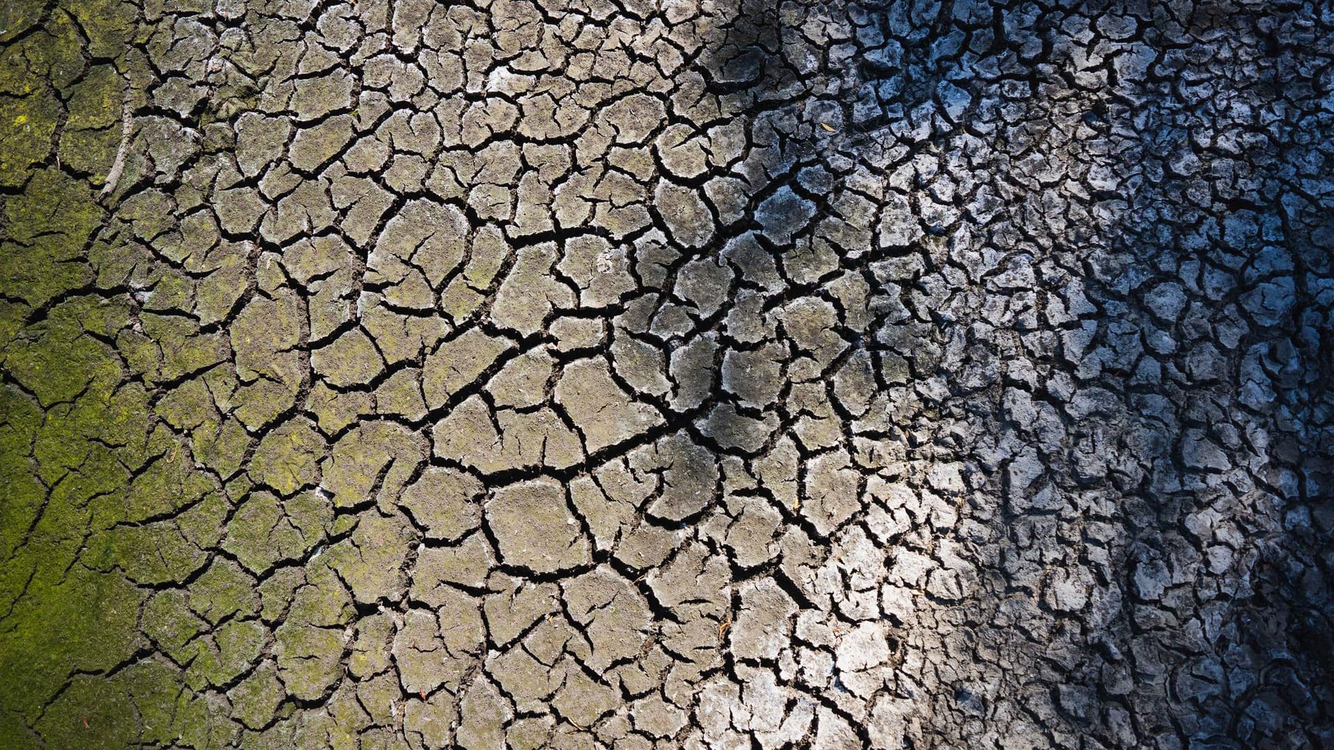 Ein ausgetrockneter Weiher in Bayern: Seit 2018 herrscht in einigen Regionen bereits eine extreme Bodentrockenheit.