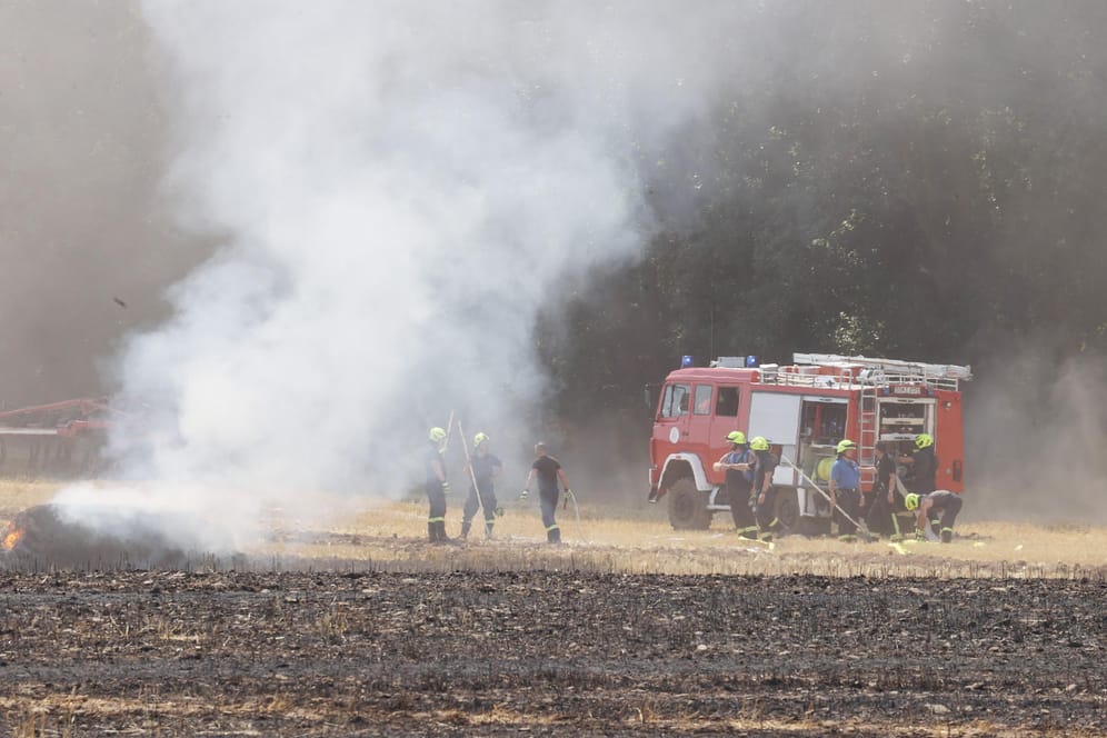Feuerwehrleute bekämpfen am Dienstag den Brand mehrerer Felder und Waldstücke im Saale-Orla Kreis in Thüringen.