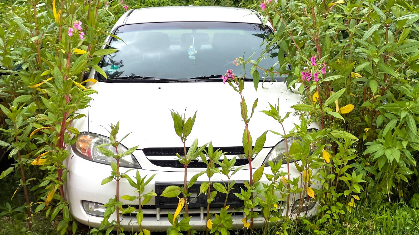 Stillgelegtes Auto: Viele Deutsche wollen ihr Fahrzeug häufiger stehen lassen oder sogar loswerden.