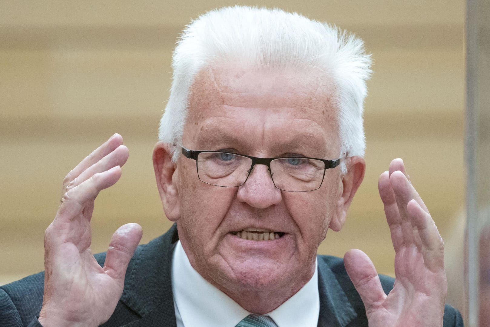 Winfried Kretschmann: Mitglieder der Afd-Fraktion verhielten sich wie "Schoßhunde Putins".