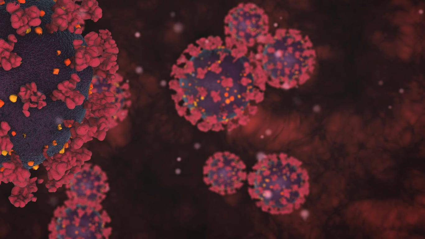 Das Coronavirus unter dem Elektronenmikroskop: Eine neue Variante besorgt die Virologen.