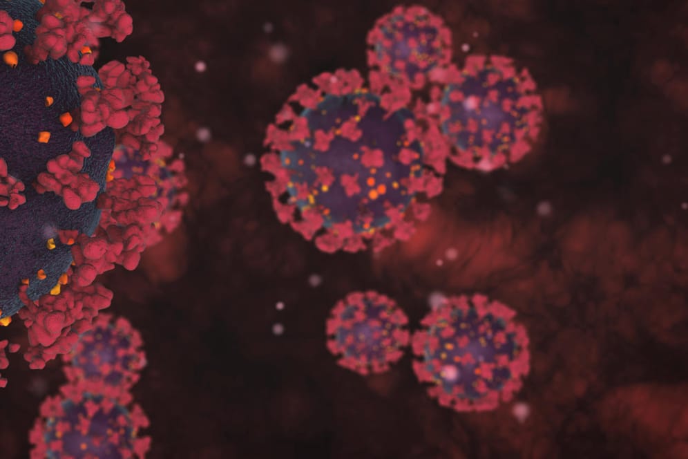 Das Coronavirus unter dem Elektronenmikroskop: Eine neue Variante besorgt die Virologen.