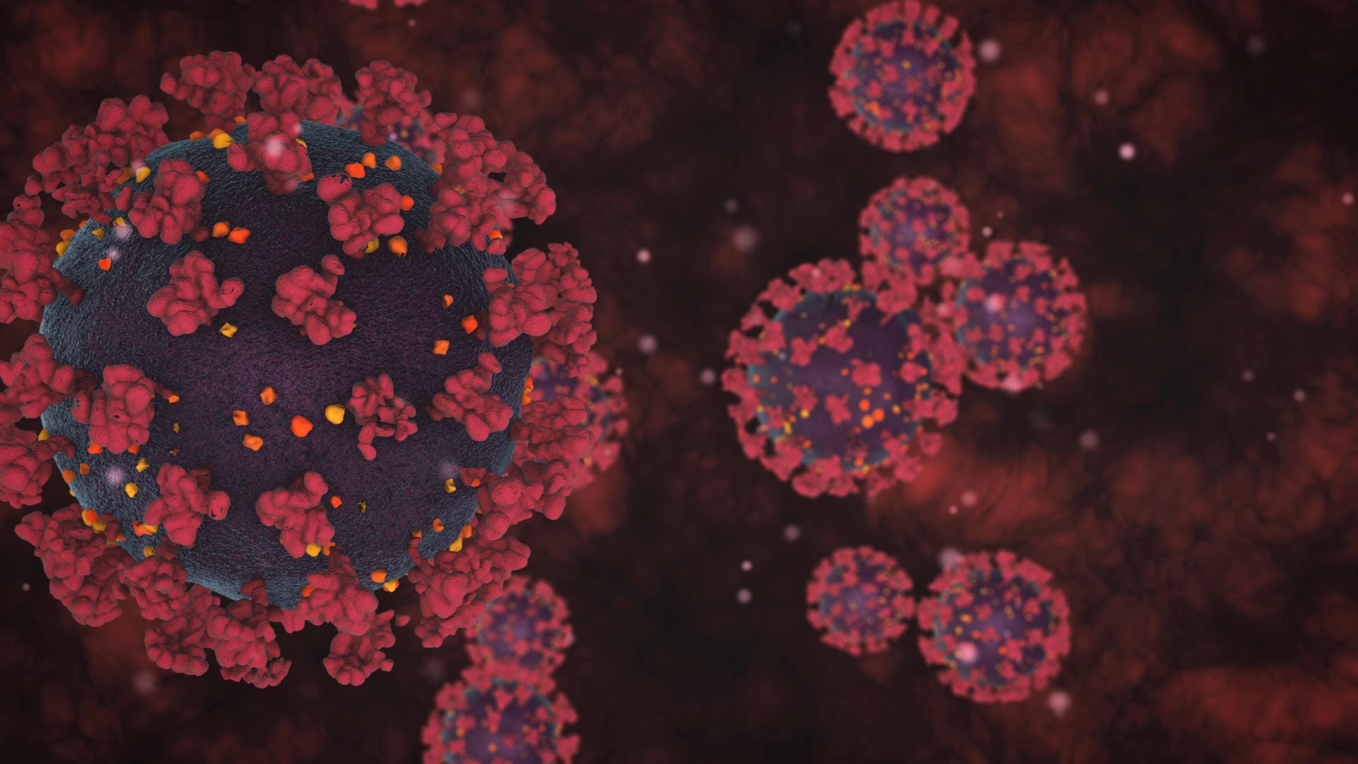 Coronavirus unter dem Elektronenmikroskop.