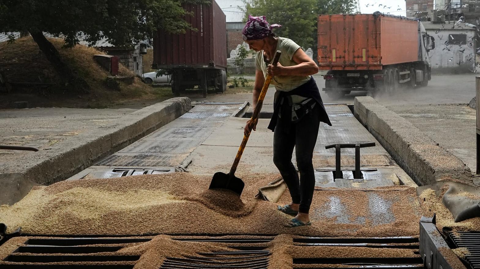 Ein Arbeiter in Melitopol reinigt Getreide vom Boden (Symbolbild): Russland hat kurz nach Beginn der Militäroperation in der Ukraine die Kontrolle über einen Teil der Region Saporischschja übernommen.