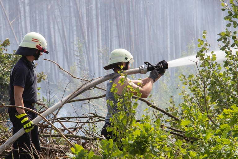 Feuerwehrmänner löschen einen Brand in Brandenburg: Durch die enorme Trockenheit breiten sich Feuer schnell aus. (Archivbild, Juni 2022)