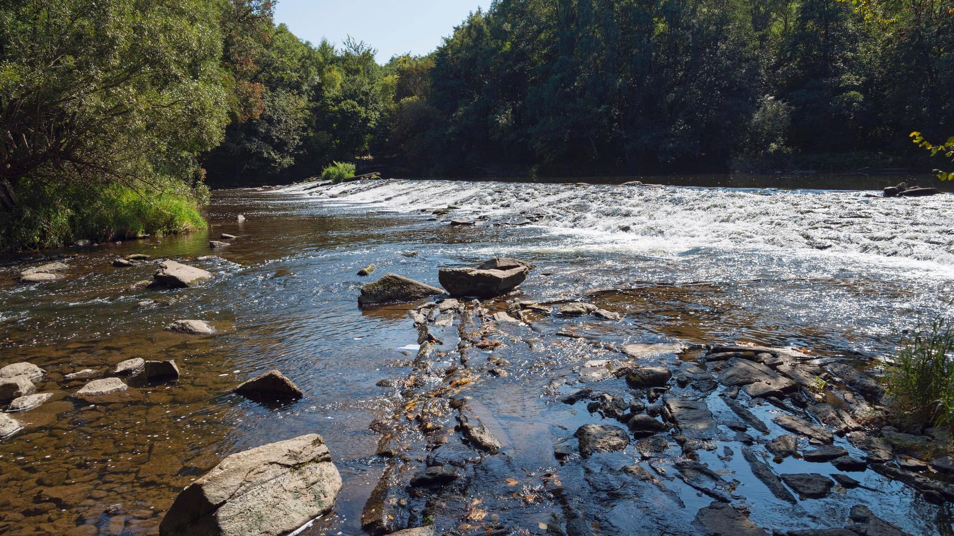 Fluss Thaya, Tschechien: Durch anhaltende Hitze erreichte der Fluss Temperaturen von über 24 Grad.