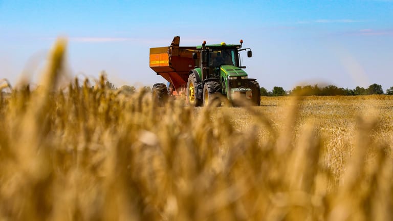 \Getreide auf einem Feld in der Region Odessa im Süden der Ukraine: Heute soll ein Abkommen zu Getreideexporten mit Russland unterschrieben werden.