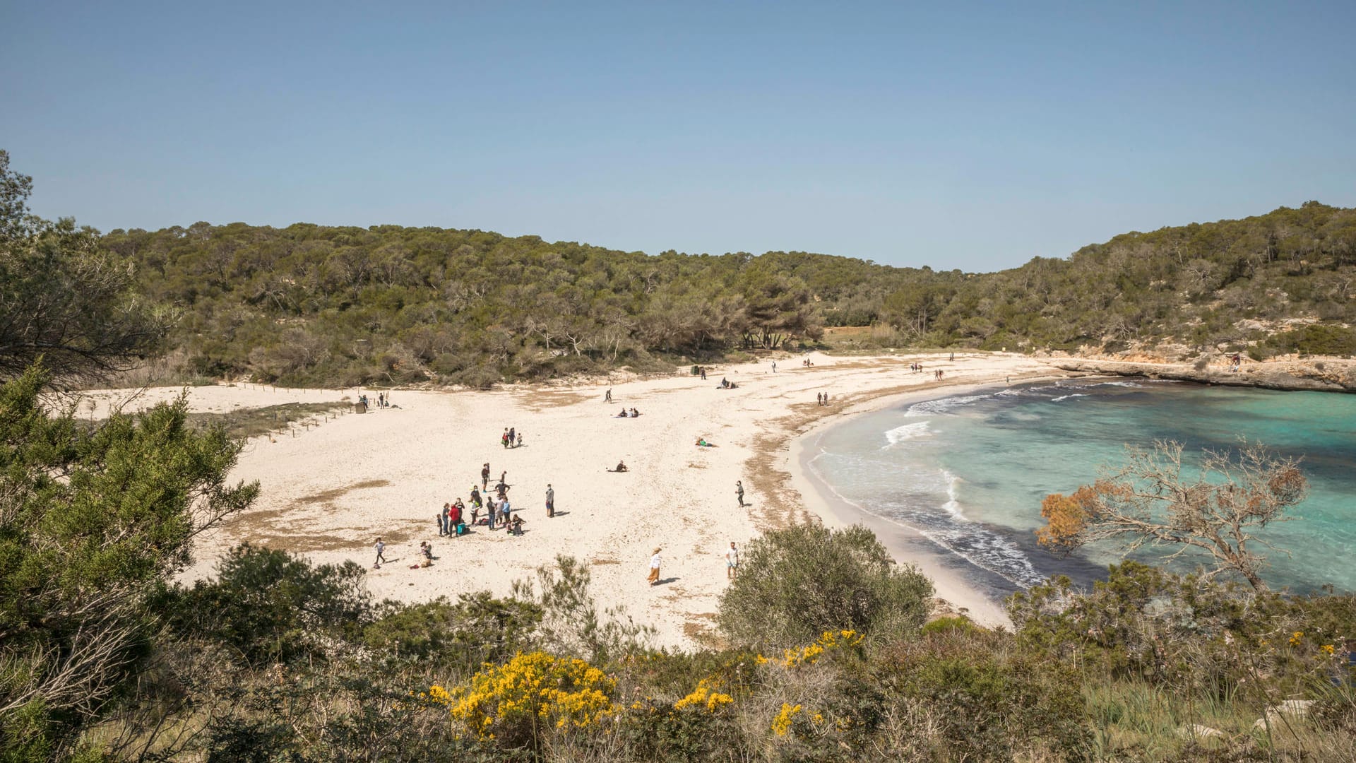 Cala Mondrago: Hier treffen sich Einheimische und Touristen zum gemeinsamen Sonnenbaden und Schwimmen.