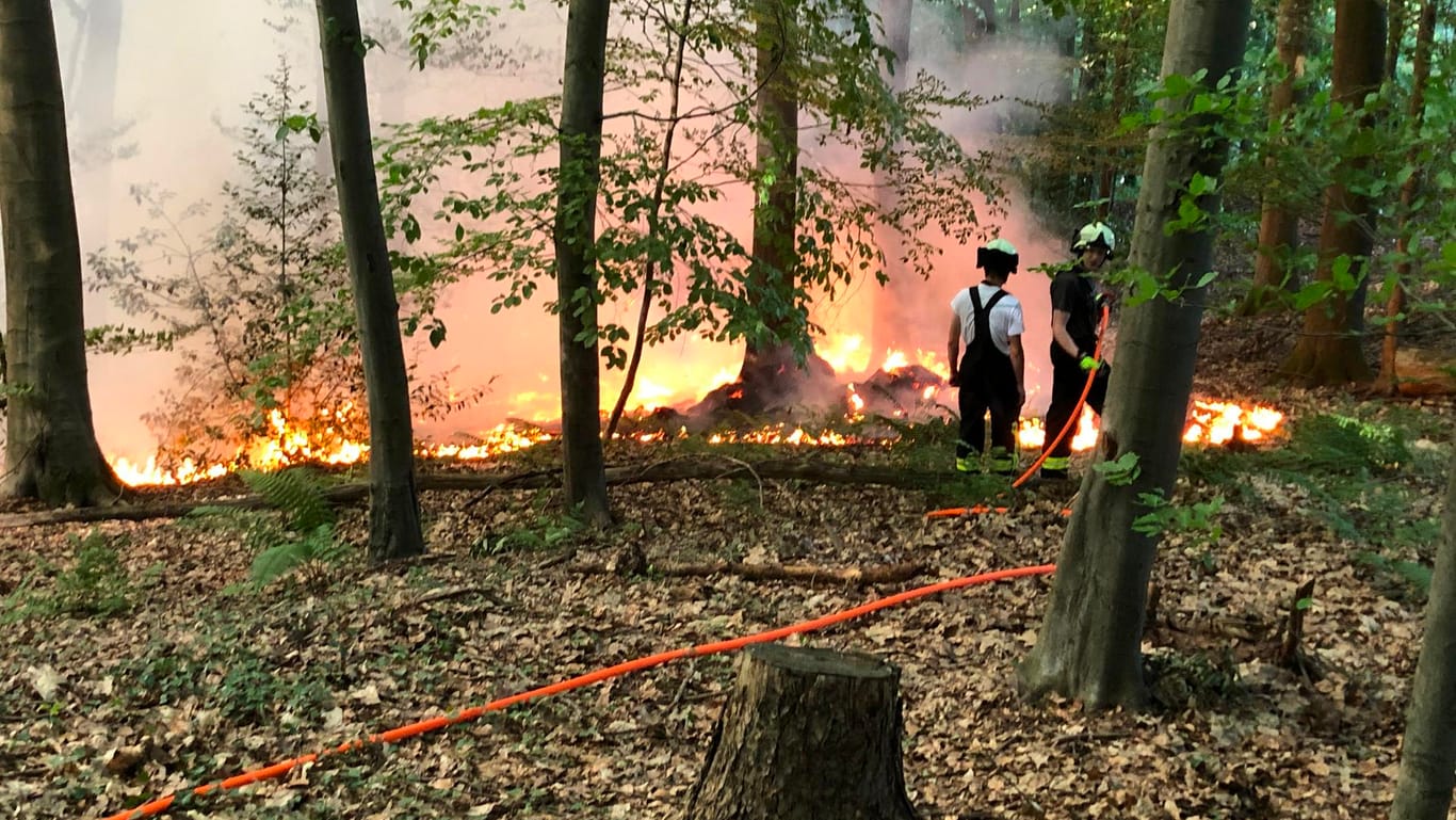 Feuerwehrleute bekämpfen einen Waldbrand in Hennef in Nordrhein-Westfalen.