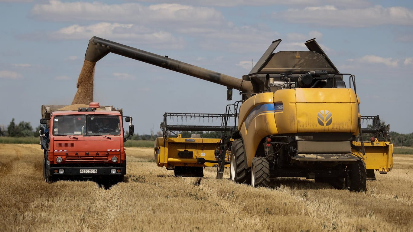 Getreideernte in der Ukraine: Mit dem Abkommen sollen Ausfuhren über die Türkei wieder möglich werden.