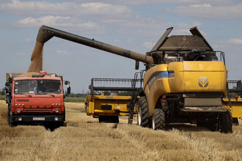 Getreideernte in der Ukraine: Mit dem Abkommen sollen Ausfuhren über die Türkei wieder möglich werden.