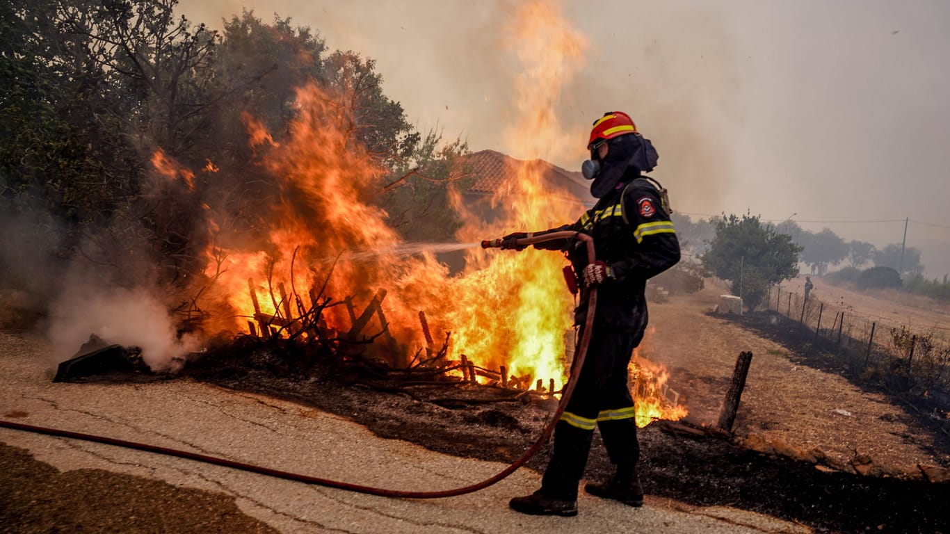 Insel Lesbos: Feuer in der Gegend von Rogada in Vatera.