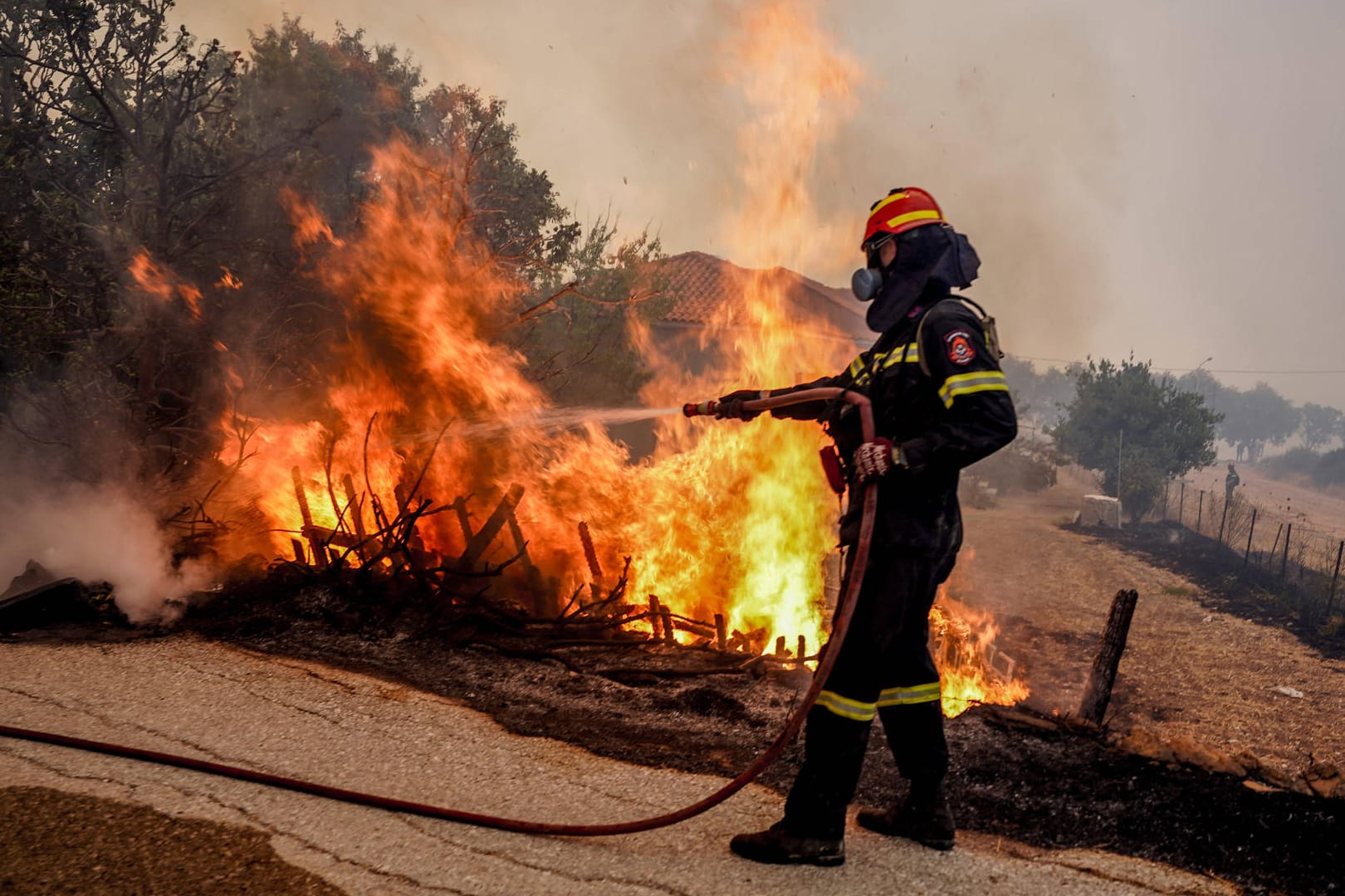 Insel Lesbos: Feuer in der Gegend von Rogada in Vatera.