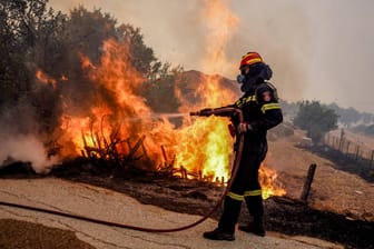 Insel Lesbos: Feuer in der Gegend von Rogada in Vatera.