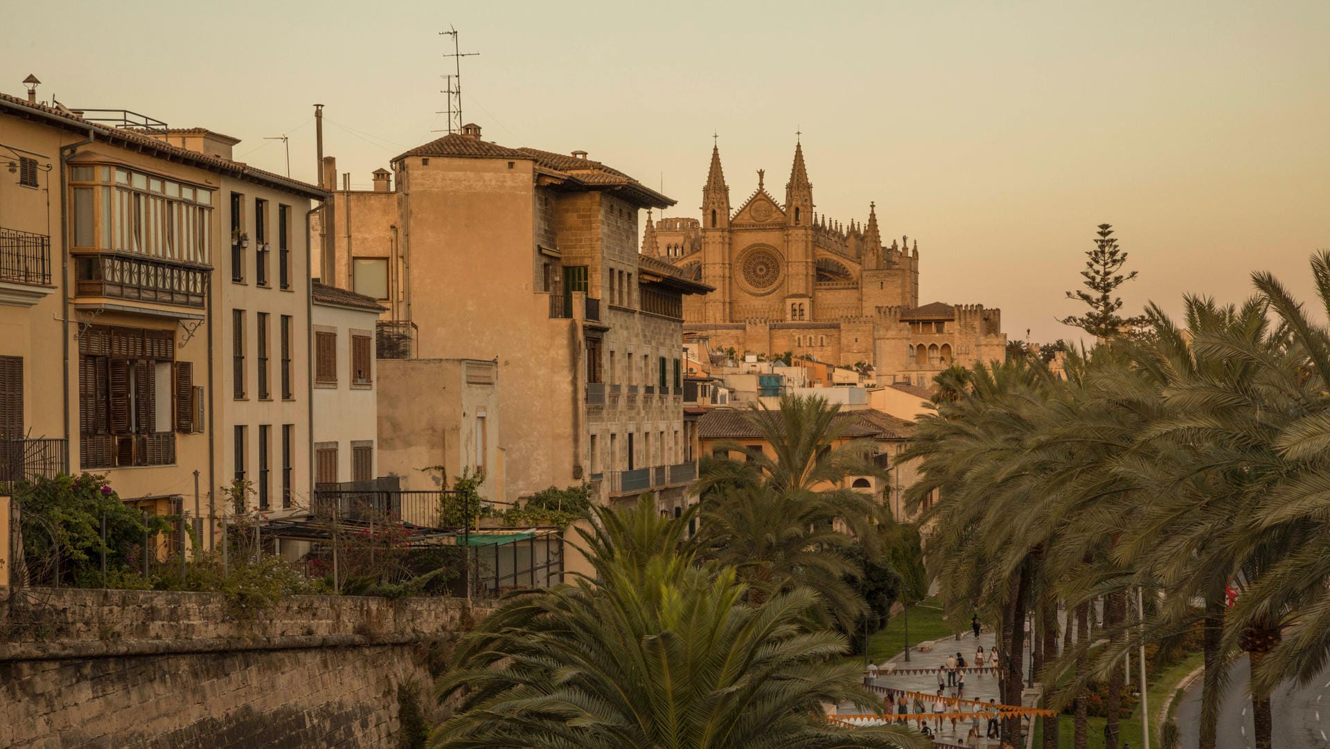 Palma de Mallorca: Auf der spanischen Urlaubsinsel Mallorca soll ein Deutscher sieben Brände gelegt haben. Palma de Mallorca: Auf der spanischen Urlaubsinsel Mallorca soll ein Deutscher sieben Brände gelegt haben.
