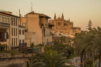 Palma de Mallorca: Auf der spanischen Urlaubsinsel Mallorca soll ein Deutscher sieben Brände gelegt haben.