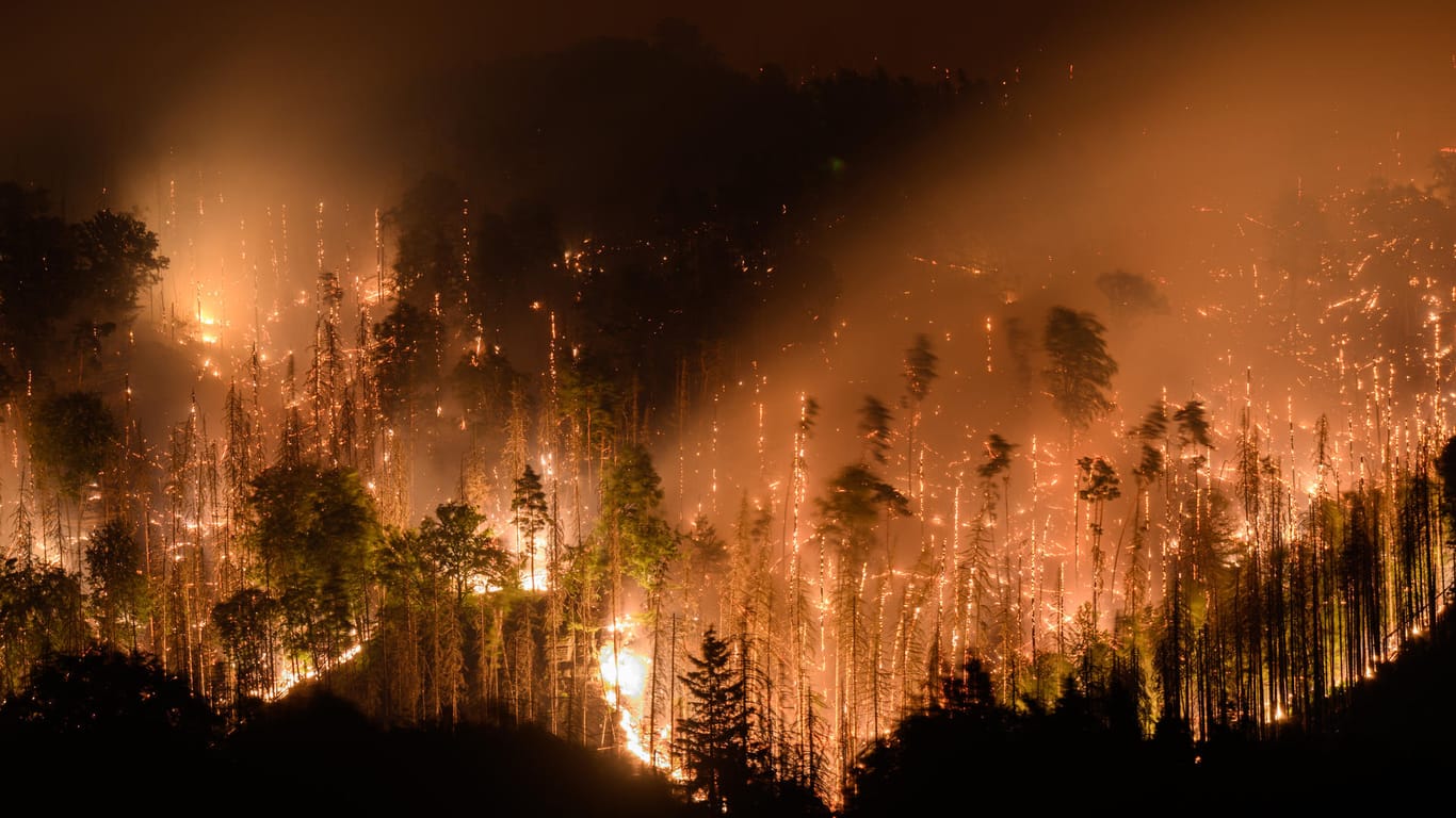 Blick auf den Waldbrand im tschechischen Nationalpark Böhmische Schweiz in Hrensko nahe der Grenze zu Sachsen: Der Wind stellt die Einsatzkräfte vor eine Herausforderung.