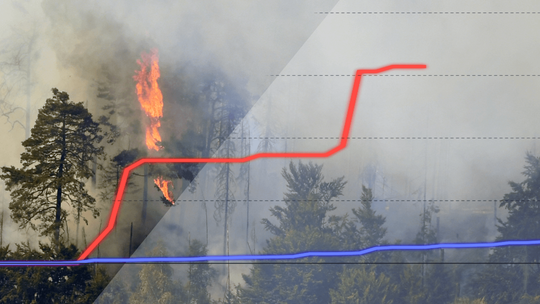 Waldbr-nde-in-Deutschland-au-er-Kontrolle-Es-gibt-einen-negativen-Trend