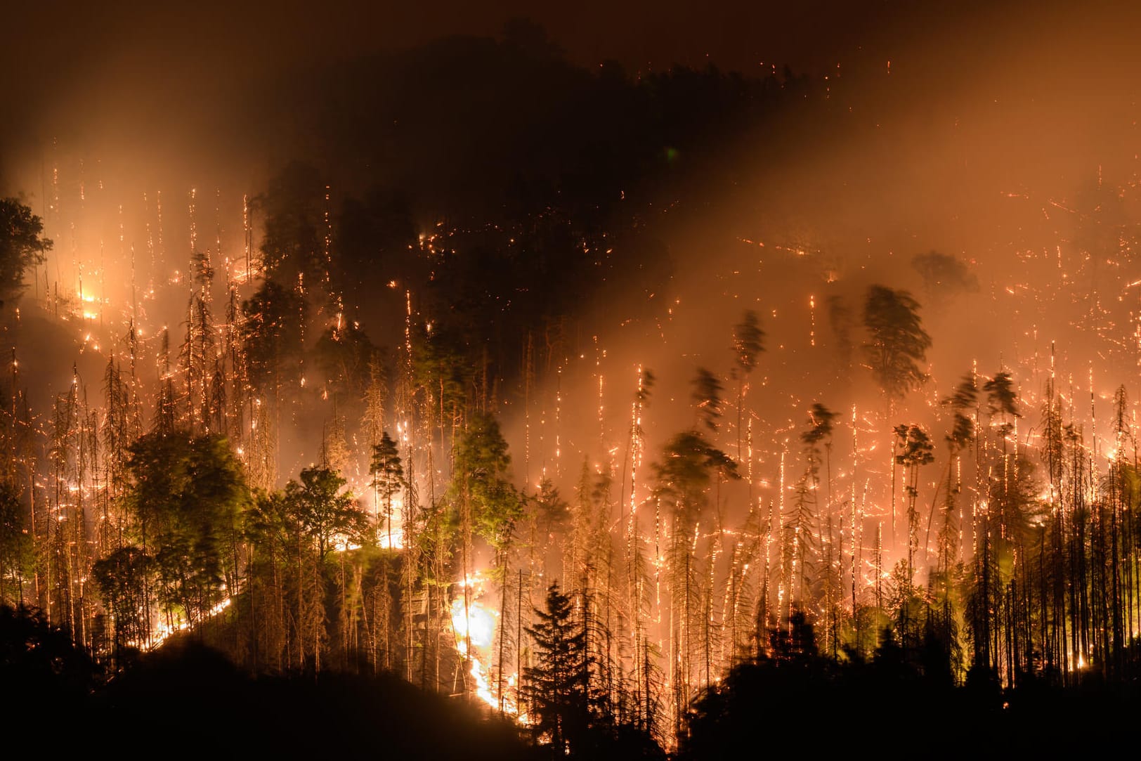 Feuer im Nationalpark Böhmische Schweiz