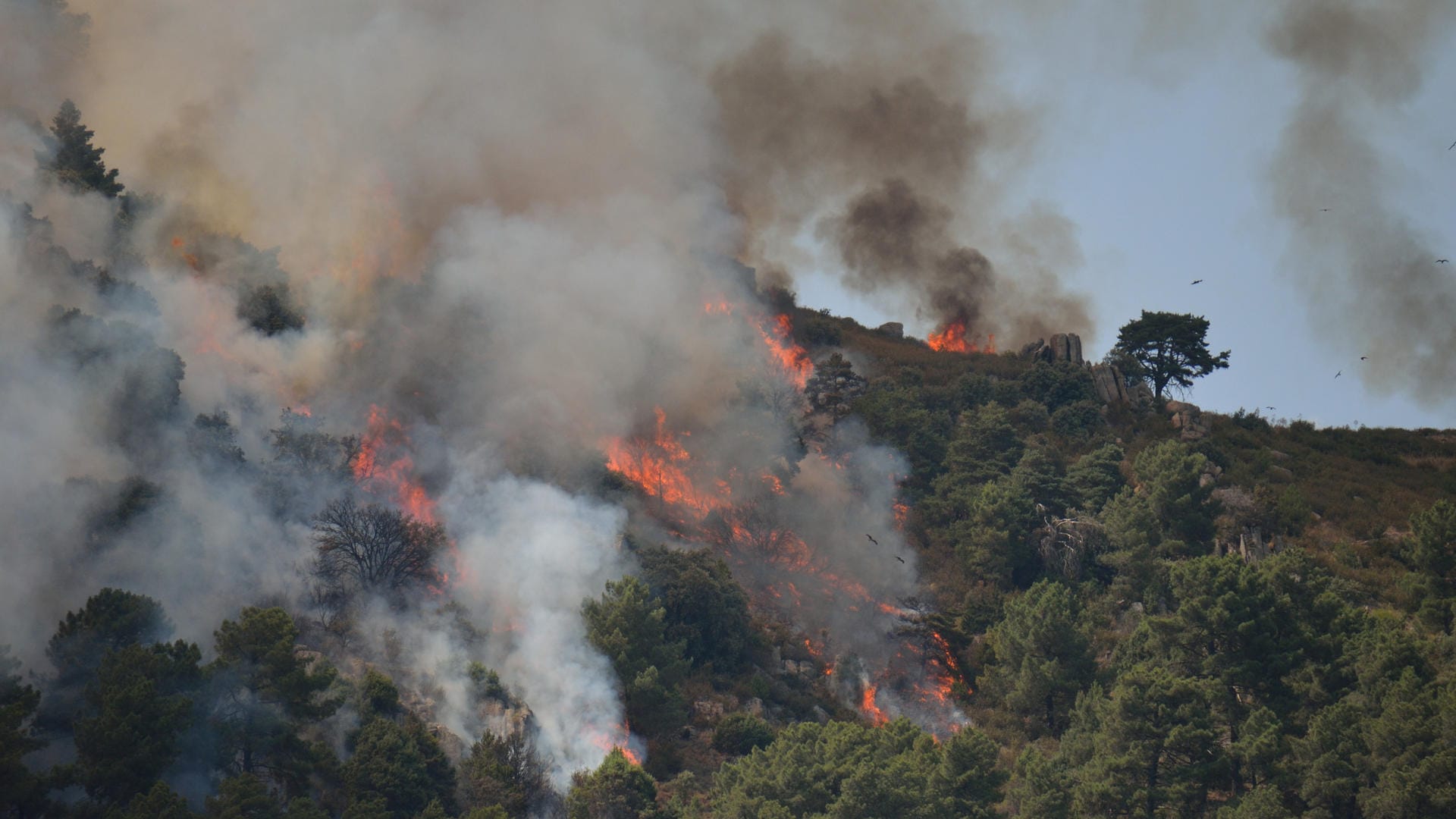 Hitzewelle in Spanien: Da die kommenden Tage nicht mehr so warm sein sollten, kann man die kleinen Brände besser kontrollieren.