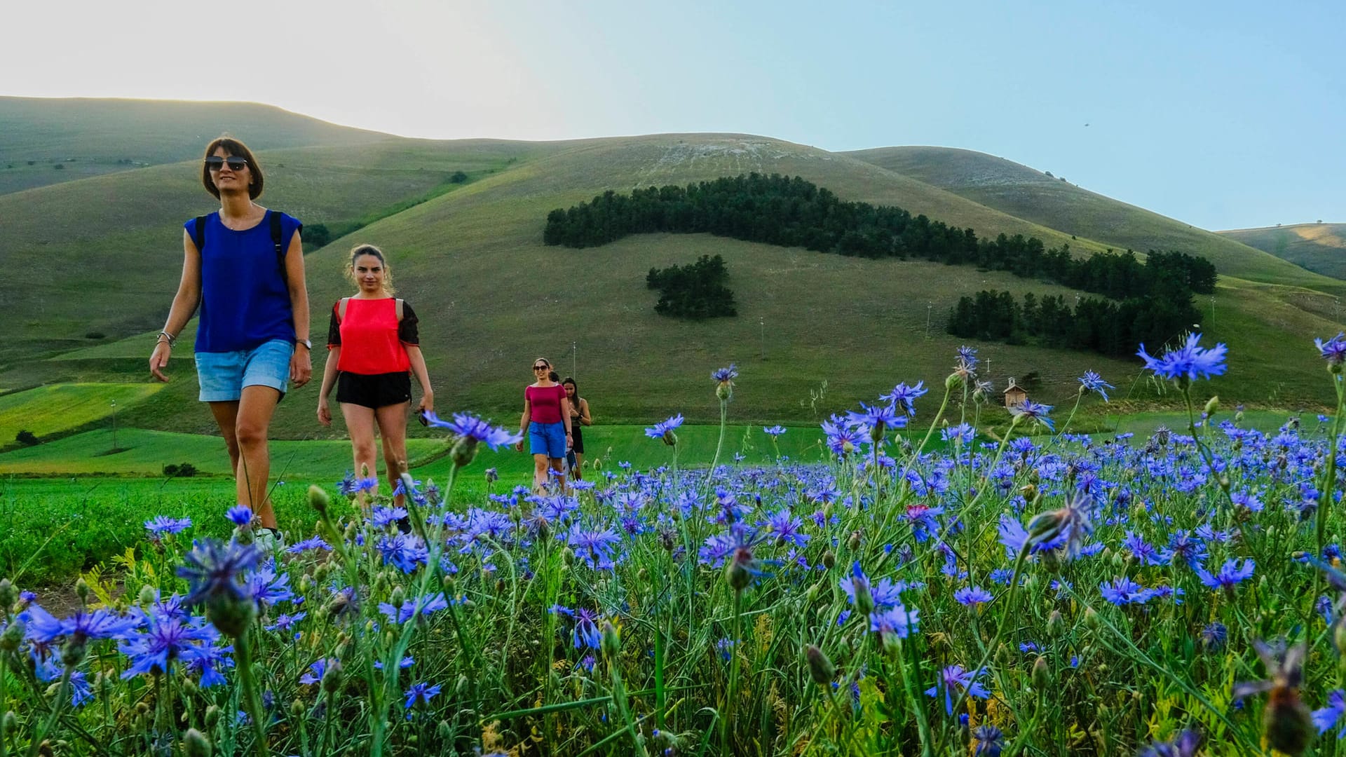 Castelluccio di norcia in Umbrien: Die Region gilt nicht umsonst als grünes Herz Italiens.