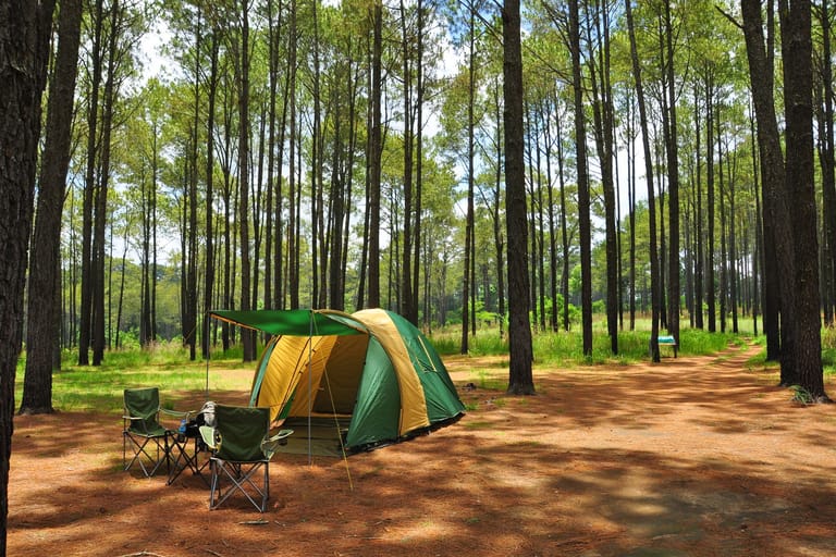 Für den nächsten Campingurlaub mit Zelt: Auf dieses Campingzubehör sollten Sie nicht verzichten.