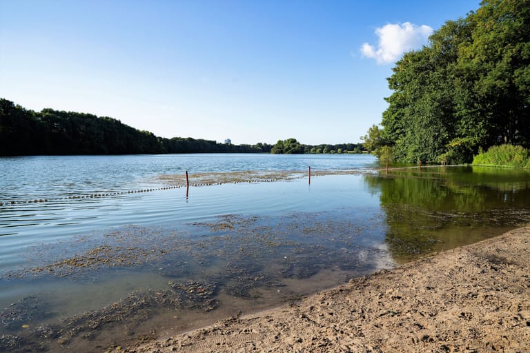 Sichtbarer Algenbewuchs im Öjendorfer See: (Archivbild): Die nördliche Badestelle wurden nun wegen Blaualgen gesperrt.