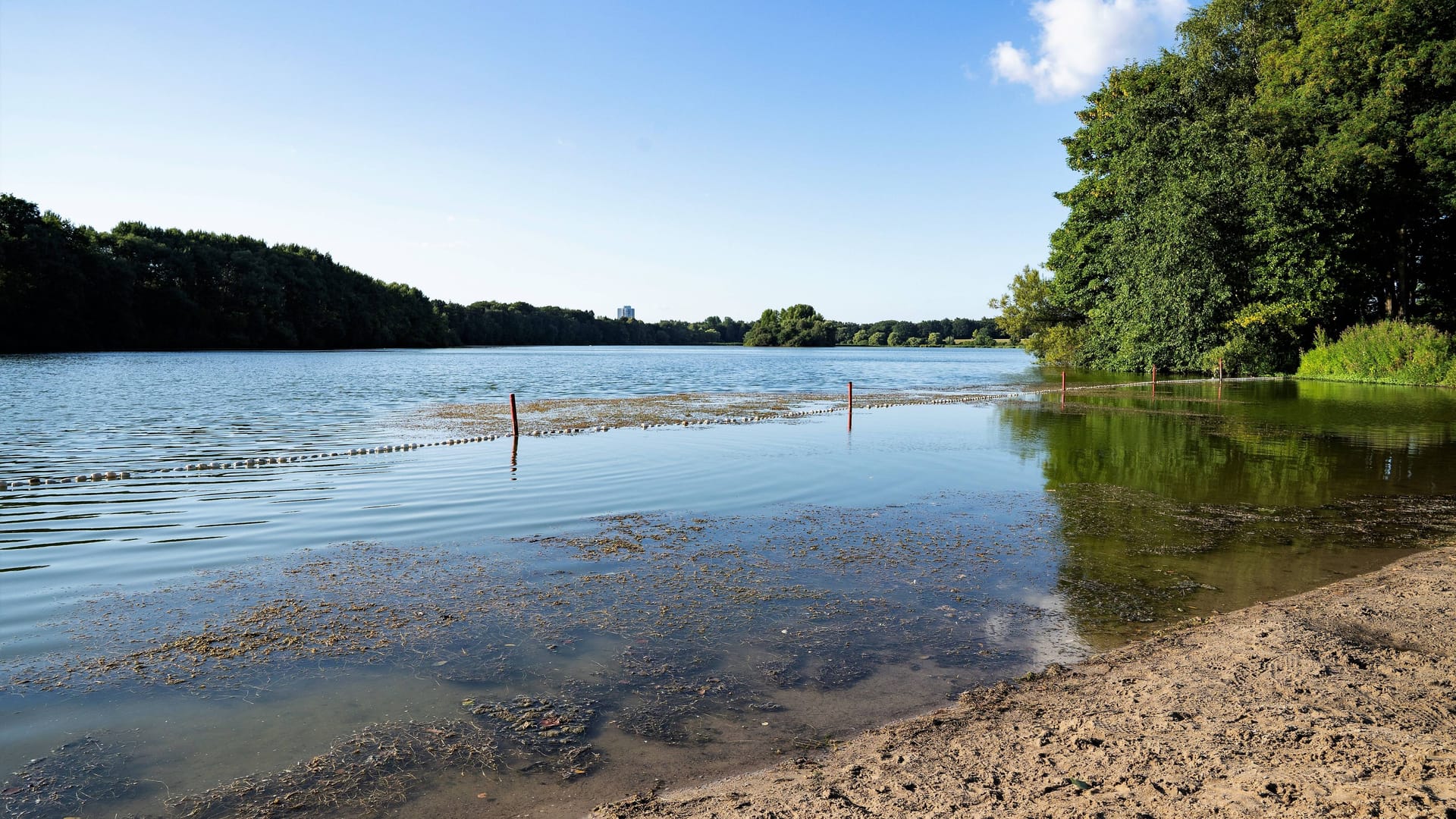 Sichtbarer Algenbewuchs im Öjendorfer See: (Archivbild): Die nördliche Badestelle wurden nun wegen Blaualgen gesperrt. Sichtbarer Algenbewuchs im Öjendorfer See: (Archivbild): Die nördliche Badestelle wurden nun wegen Blaualgen gesperrt.