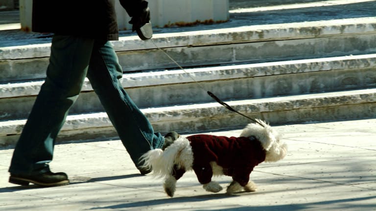 Eine Person geht mit ihrem Hund Gassi (Symbolbild): In Oldenburg wurden zwei Hundebesitzer angegriffen.