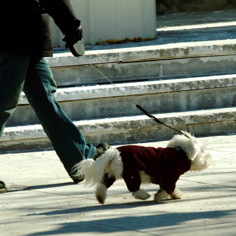 Ein angezogener Hund (Archivbild): Die Marke verkauft nach eigener Aussage Modetrends – nur eben fürs Tier.