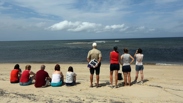 People watch from the beach as a colony of several hundred seals sit on a sandbar at High Head Beach during low tide on Cape Cod on August 12, 2012 in Truro, Massachusetts. A man was confirmed to have been bitten by a great white shark less than two weeks ago in the ocean near the shoreline of Truro in Cape Cod. An increase in the seal population on Cape Cod has led to increased shark sightings including great whites.