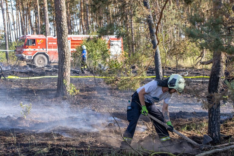 Feuerwehr im Einsatz bei einem Waldbrand in Brandenburg (Archivbild): Immer wieder kommt es in der Region zu solchen Naturkatastrophen.