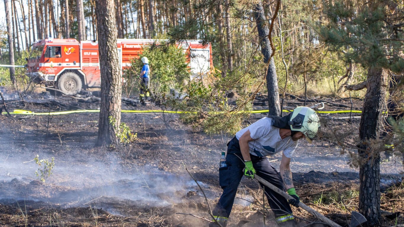 Feuerwehr im Einsatz bei einem Waldbrand in Brandenburg (Archivbild): Immer wieder kommt es in der Region zu solchen Naturkatastrophen.