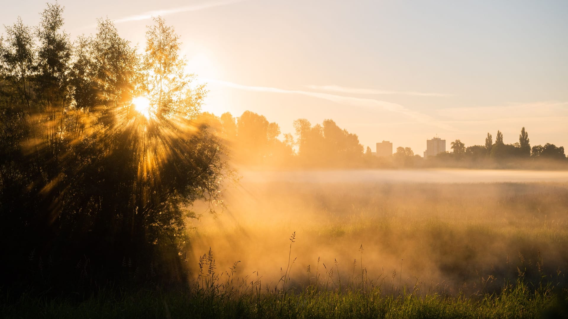 Die aufgehende Sonne taucht Nebel in warmes Licht (Hannover). Der Deutsche Wetterdienst sagt für die nächsten Tage eine Hitzewelle voraus.