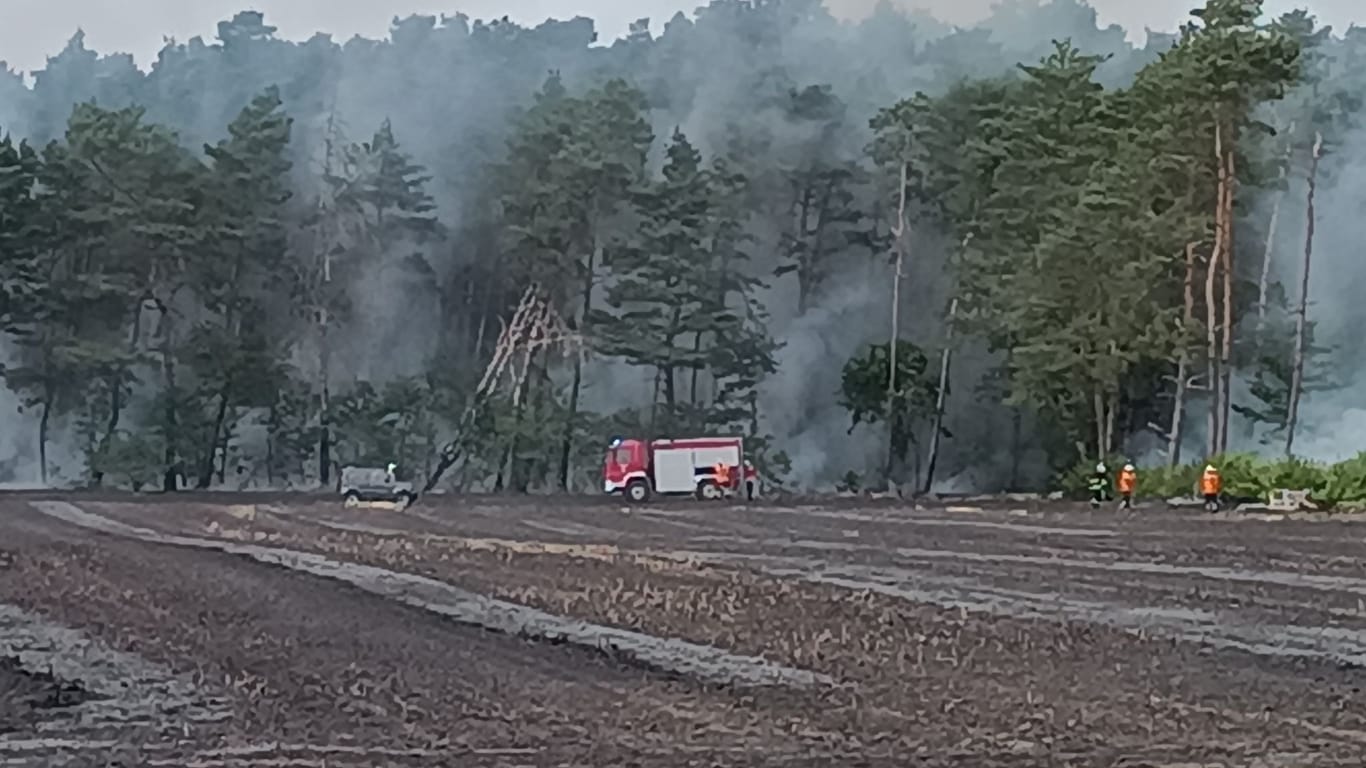 Flächenbrand in der Region Hannover