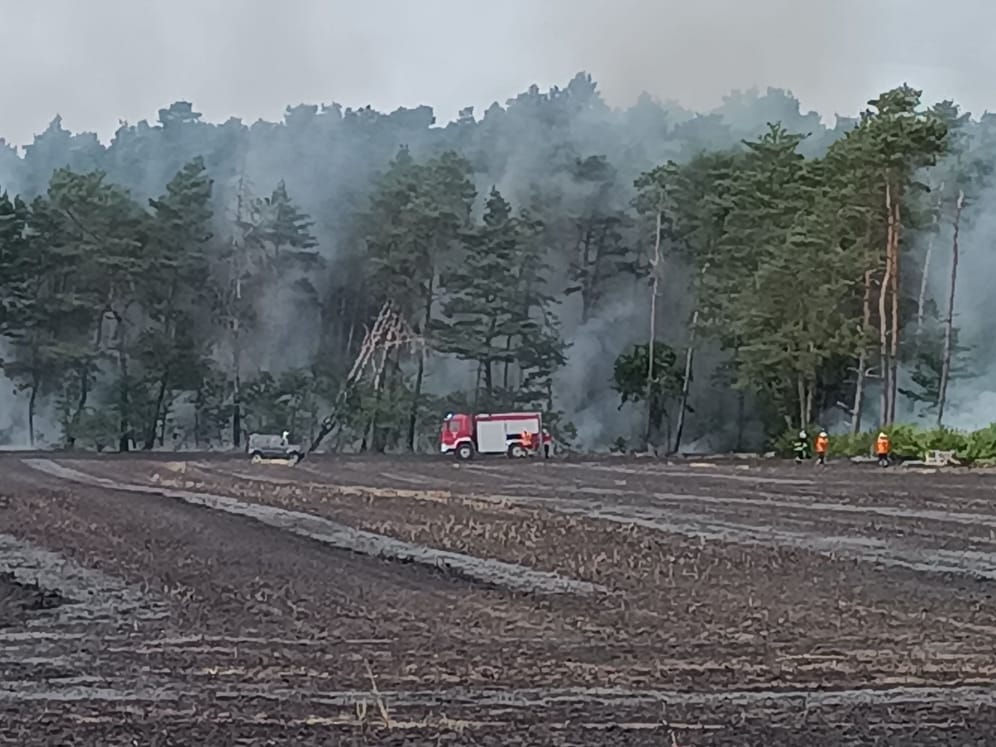 Flächenbrand in der Region Hannover