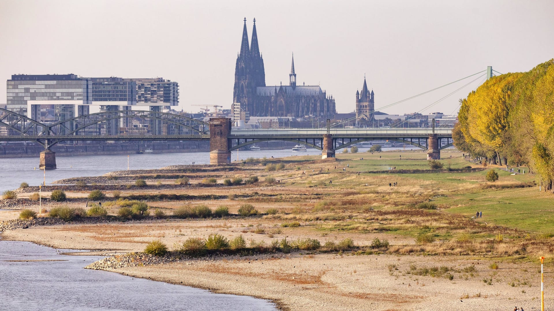 Niedriger Rheinpegel im Sommer 2018 (Archivbild): In diesem Sommer soll es in der Domstadt erneut besonders trocken werden.