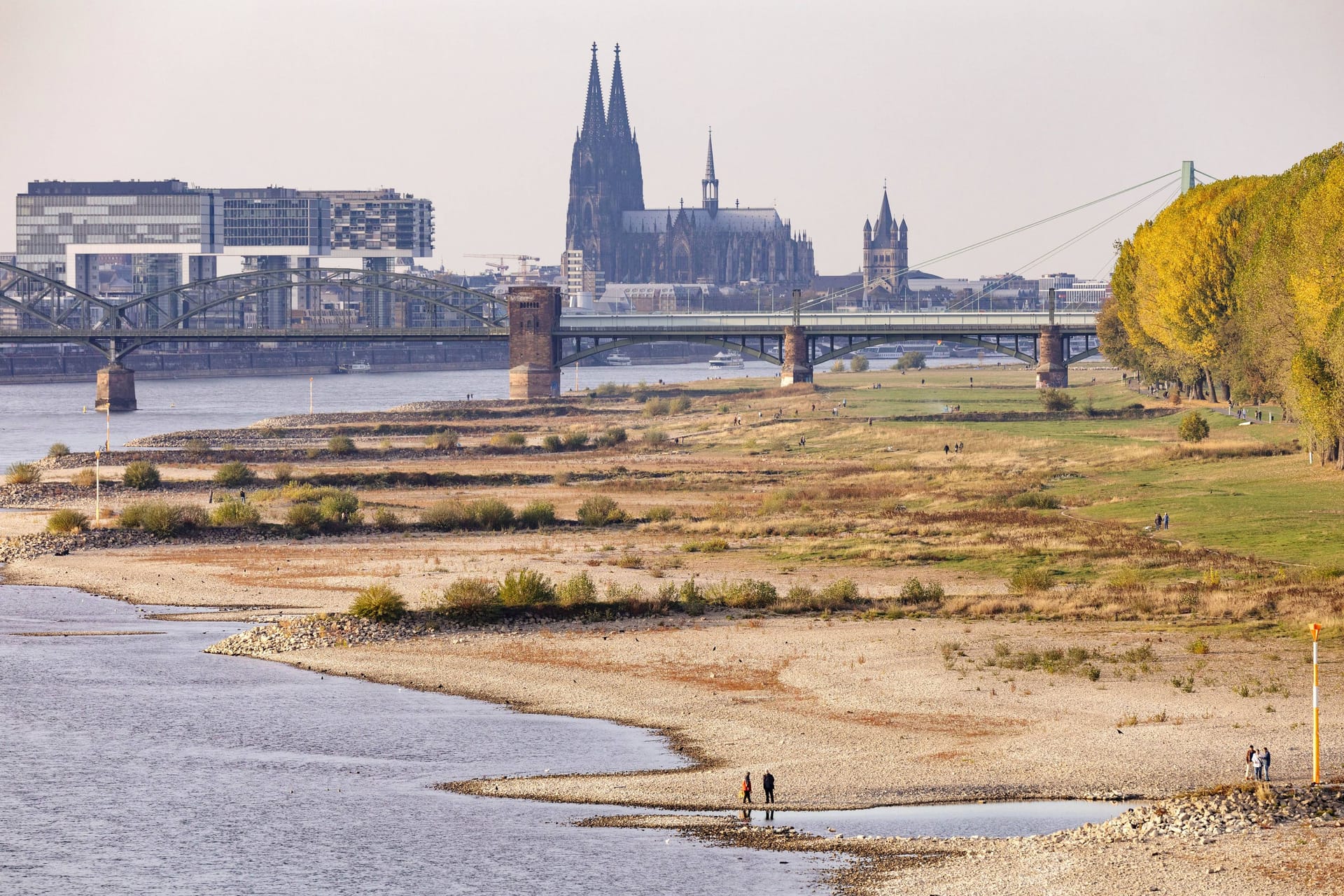 Niedriger Rheinpegel im Sommer 2018 (Archivbild): In diesem Sommer soll es in der Domstadt erneut besonders trocken werden.