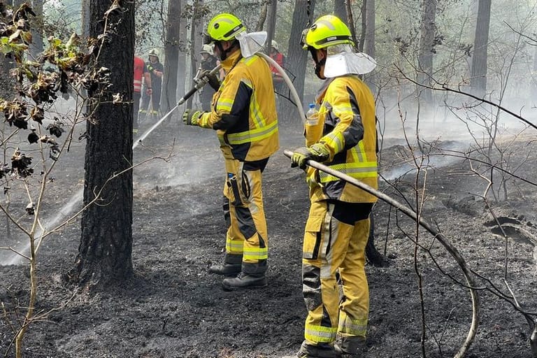 Feuerwehrleute löschen Glutnester: Insgesamt standen 900 Hektar in Flammen.