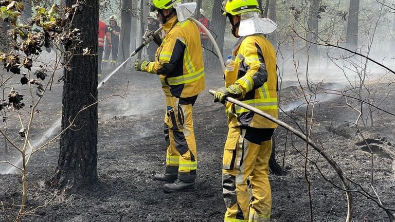 Feuerwehrleute löschen Glutnester: Insgesamt standen 900 Hektar in Flammen.